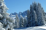 Отель Hotel Der Abtenauer Отель Hotel Der Abtenauer