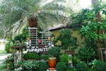 Отель Pawida Resort Отель Pawida Resort