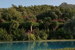 Гостевой дом Antik Zeytin Hotel & Art Гостевой дом Antik Zeytin Hotel & Art