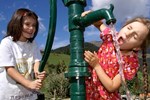 Отель Naturhotel Feriengut Darrehof Отель Naturhotel Feriengut Darrehof