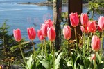 Мини-отель Reef Point Oceanfront Bed and Breakfast Мини-отель Reef Point Oceanfront Bed and Breakfast