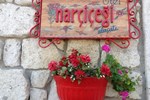Отель Narcicegi Hotel Отель Narcicegi Hotel