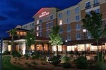 Отель Hilton Garden Inn St. George Отель Hilton Garden Inn St. George