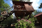Хостел Jungle Bells Hostel Хостел Jungle Bells Hostel