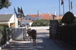 Отель Parque de Campismo Orbitur Evora Отель Parque de Campismo Orbitur Evora