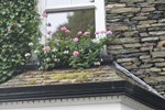 Мини-отель Glencree Мини-отель Glencree