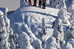 Отель Break Sokos Hotel Koli Отель Break Sokos Hotel Koli