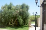 Гостевой дом Tenuta Santicuti Гостевой дом Tenuta Santicuti