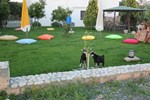 Отель Armutlu Hotel Отель Armutlu Hotel