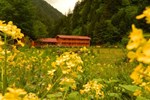 Отель Beyza Motel Отель Beyza Motel