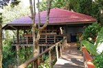 Отель Jungle Hill Beach Bungalow Отель Jungle Hill Beach Bungalow