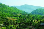 Отель Bamboo Country Lodge Отель Bamboo Country Lodge