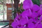Отель Golden Cliff Beach Resort Отель Golden Cliff Beach Resort