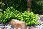 Отель Wangnong Resort Отель Wangnong Resort