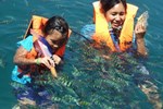 Отель Rocky Point Resort Отель Rocky Point Resort