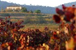 Отель Hotel Castell de Gimenelles Отель Hotel Castell de Gimenelles