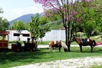 Апартаменты Ninemia Bungalows Hotel Апартаменты Ninemia Bungalows Hotel
