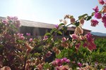 Отель Hotel Club Cala Bitta Отель Hotel Club Cala Bitta