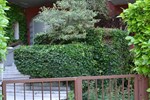 Мини-отель Villa Lattes Мини-отель Villa Lattes