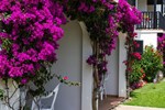 Апартаменты Isla Paraiso Апартаменты Isla Paraiso