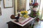 Отель Hotel Canne al Vento Отель Hotel Canne al Vento