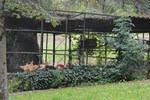 Отель Logis Hostellerie Du Parc Отель Logis Hostellerie Du Parc