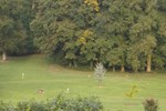 Мини-отель Au Chateau de Montbraye Мини-отель Au Chateau de Montbraye