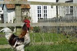 Мини-отель Eastbrook Cottage Мини-отель Eastbrook Cottage