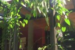 Хостел Yaxkin Hostel-Palenque Хостел Yaxkin Hostel-Palenque