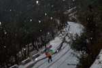 Отель Villa Paradiso Отель Villa Paradiso