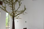 Отель Grand Paradise Highway Hotel-Taiping Отель Grand Paradise Highway Hotel-Taiping