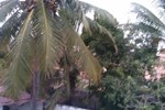 Отель Casa Cupula Blanca Отель Casa Cupula Blanca