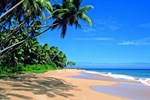 Хостел Colombo Airport Hostel @ Negombo Beach Хостел Colombo Airport Hostel @ Negombo Beach
