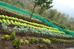 Отель Elephant Valley Eco farm Hotel Отель Elephant Valley Eco farm Hotel