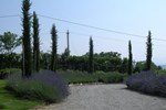 Отель Casa Vacanze B&B Poggio Al Vento Toscana Отель Casa Vacanze B&B Poggio Al Vento Toscana