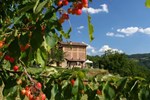 Мини-отель B&B Al Merlo Angelico Мини-отель B&B Al Merlo Angelico