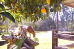 Отель B&B Emoyeni Отель B&B Emoyeni