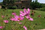 Отель Agriturismo Ca' Lucano Отель Agriturismo Ca' Lucano