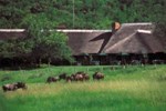 Отель Bakubung Bush Lodge Отель Bakubung Bush Lodge