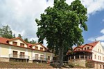Отель Hotel Gold Chotoviny Отель Hotel Gold Chotoviny