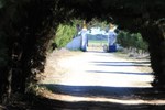 Гостевой дом Quinta da Azervada de Cima Гостевой дом Quinta da Azervada de Cima
