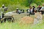 Отель Pondoro Game Lodge Отель Pondoro Game Lodge