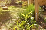 Отель Annex Guest Rooms Отель Annex Guest Rooms