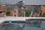 Отель Blyde River Canyon Lodge Отель Blyde River Canyon Lodge