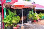 Гостевой дом Backpacker Pad Гостевой дом Backpacker Pad