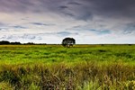Отель Aurora Kakadu Отель Aurora Kakadu