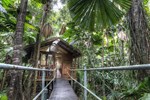 Отель Daintree Wilderness Lodge Отель Daintree Wilderness Lodge