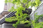 Отель Miyajima Grand Hotel Arimoto Отель Miyajima Grand Hotel Arimoto