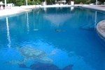 Отель Hotel y Club Campestre Altos Paraiso Отель Hotel y Club Campestre Altos Paraiso