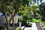 Апартаменты Finca Tomas Y Puri Апартаменты Finca Tomas Y Puri